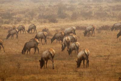 Les montagnes rocheuses dans l'état du Colorado aux Etats-Unis. Photographies par Amar Guillen.